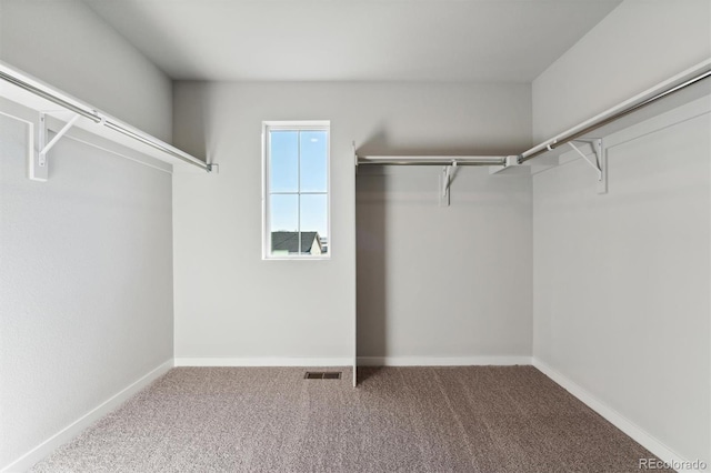 spacious closet with carpet floors and visible vents