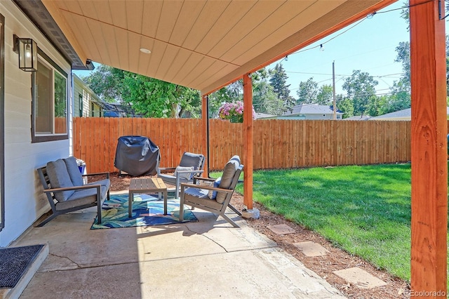 2337 S Franklin St, Denver, CO 80210 - fenced backyard featuring a patio area and area for grilling