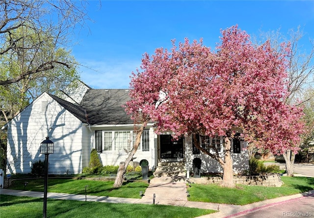 view of front of home with a front lawn