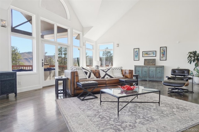 700 Apple Ridge Rd, Lyons, CO 80540 - living area featuring plenty of natural light, high vaulted ceiling, dark wood-type flooring, and baseboards