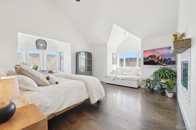 700 Apple Ridge Rd, Lyons, CO 80540 - bedroom featuring dark wood-style flooring and high vaulted ceiling