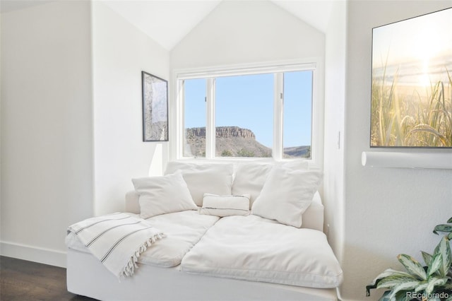 700 Apple Ridge Rd, Lyons, CO 80540 - bedroom with baseboards, dark wood-style flooring, and vaulted ceiling