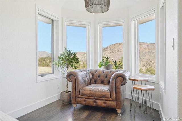 700 Apple Ridge Rd, Lyons, CO 80540 - living area with baseboards, wood finished floors, and a mountain view