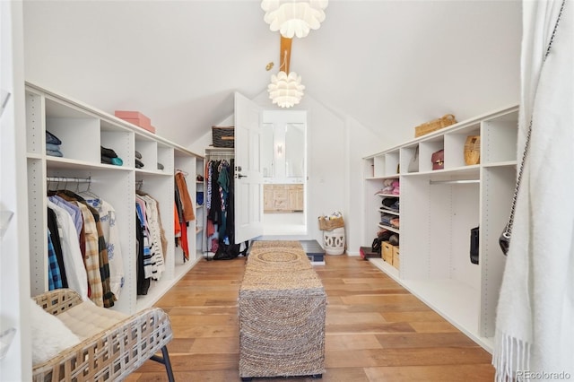 700 Apple Ridge Rd, Lyons, CO 80540 - spacious closet with wood finished floors and lofted ceiling