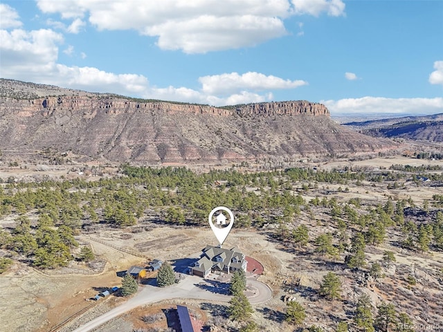 700 Apple Ridge Rd, Lyons, CO 80540 - mountain view