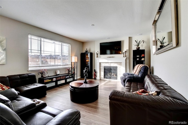 living area with wood finished floors and a fireplace