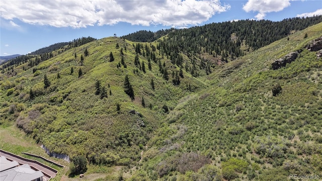 6945 Fargo Trl, Littleton, CO 80125 - view of mountain backdrop featuring a forest