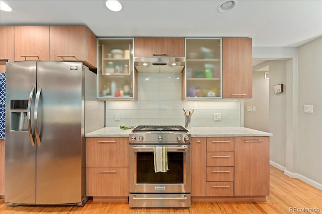 kitchen with stainless steel appliances, under cabinet range hood, light wood finished floors, and tasteful backsplash