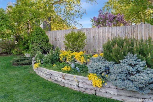 view of yard with a fenced backyard