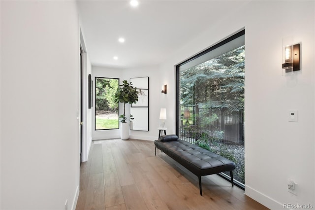 corridor featuring light hardwood / wood-style floors