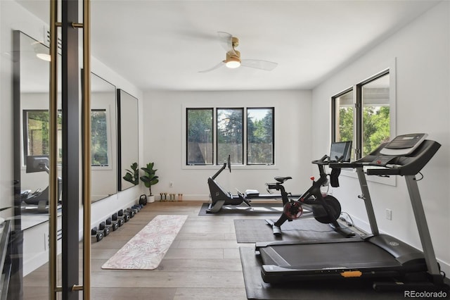 workout room featuring ceiling fan, plenty of natural light, and hardwood / wood-style floors