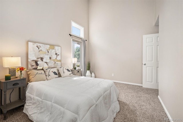 23585 Genesee Village Rd Unit E, Golden, CO 80401 - bedroom with a towering ceiling and carpet floors