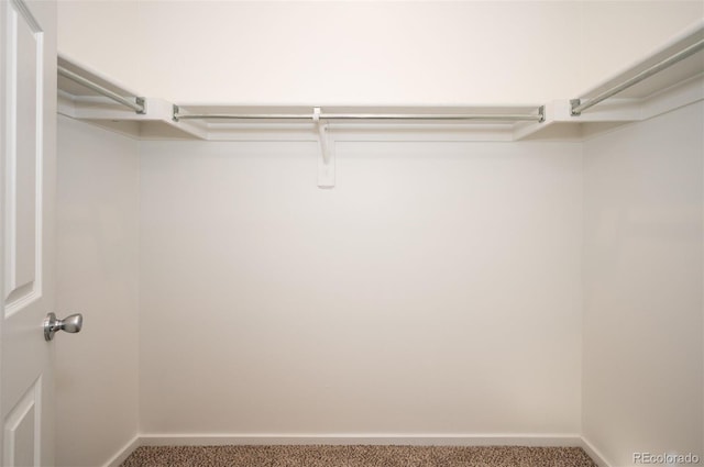23585 Genesee Village Rd Unit E, Golden, CO 80401 - spacious closet featuring carpet
