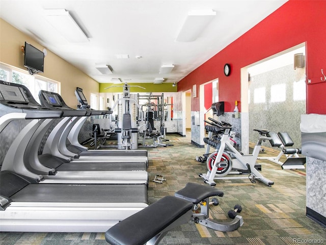 23585 Genesee Village Rd Unit E, Golden, CO 80401 - gym featuring carpet flooring and healthy amount of natural light