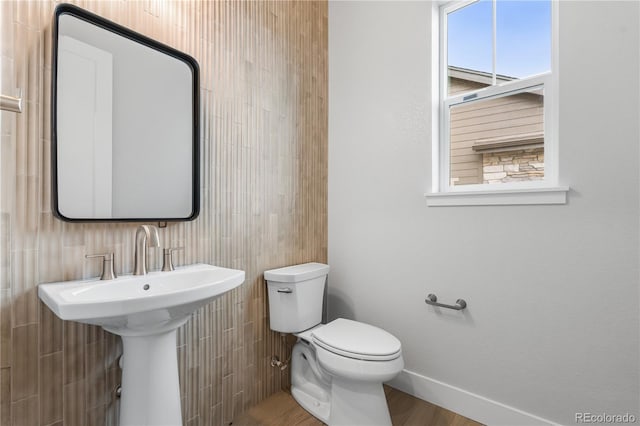 7374 Timberstone St, Castle Pines, CO 80108 - photo 27