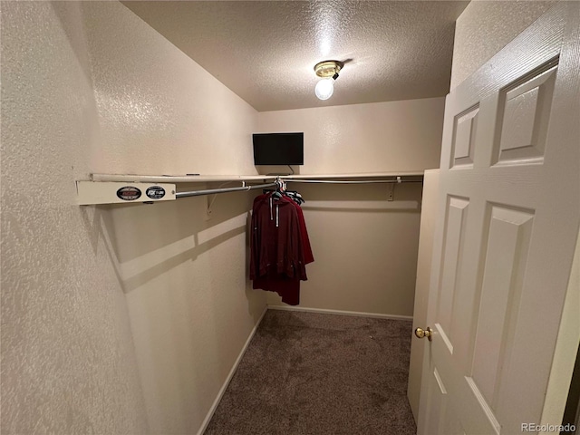 2033 Espana Way, Aurora, CO 80011 - walk in closet with carpet floors