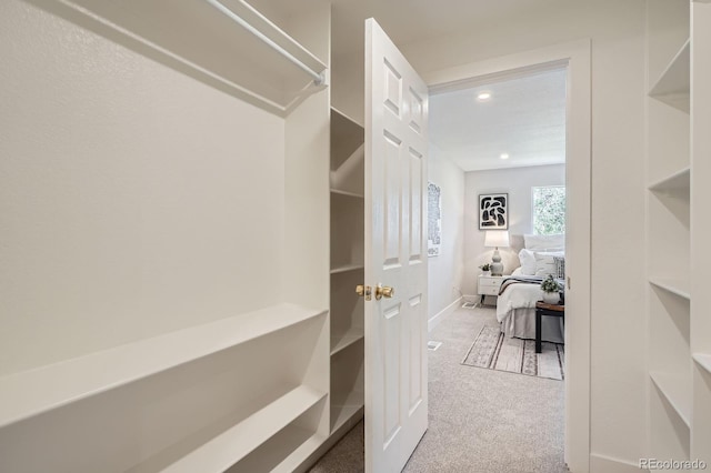 5555 Julian St, Denver, CO 80221 - walk in closet featuring carpet