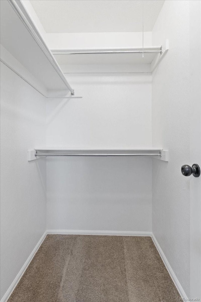 10895 W Bowles Pl, Littleton, CO 80127 - spacious closet featuring carpet