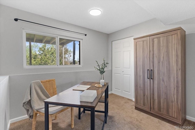 10895 W Bowles Pl, Littleton, CO 80127 - office featuring plenty of natural light, light colored carpet, and baseboards