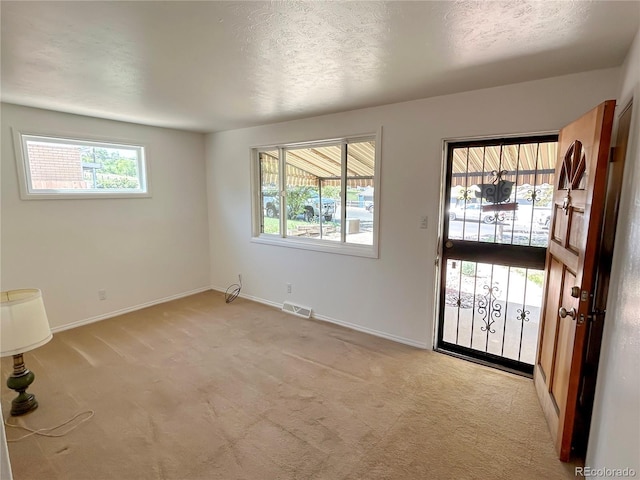 660 Wolff St, Denver, CO 80204 - foyer entrance featuring light carpet, baseboards, and a textured ceiling