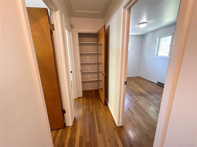 660 Wolff St, Denver, CO 80204 - corridor with wood-type flooring, baseboards, and a baseboard radiator