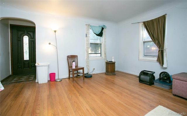 miscellaneous room featuring light hardwood / wood-style floors and a wealth of natural light