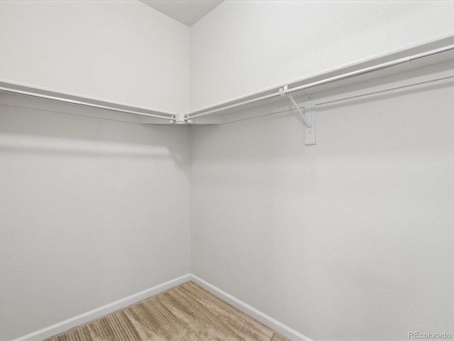 walk in closet featuring carpet
