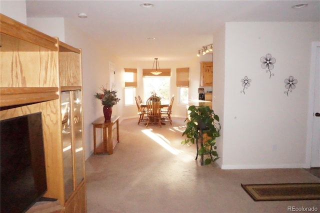 19440 County Road 112, Calhan, CO 80808 - photo 13