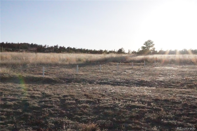 19440 County Road 112, Calhan, CO 80808 - photo 41