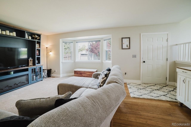 15389 E 99th Way, Commerce City, CO 80022 - living room featuring baseboards and wood finished floors
