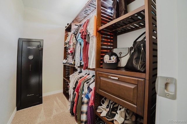 15389 E 99th Way, Commerce City, CO 80022 - spacious closet with carpet