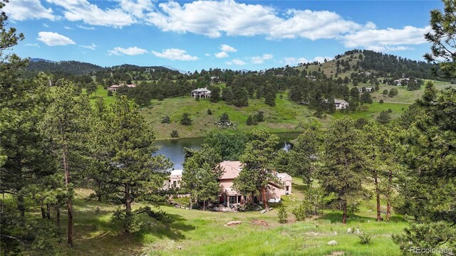 974 Spring Ranch Dr, Golden, CO 80401 - photo 45