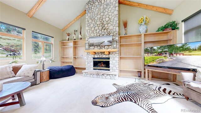 974 Spring Ranch Dr, Golden, CO 80401 - photo 13
