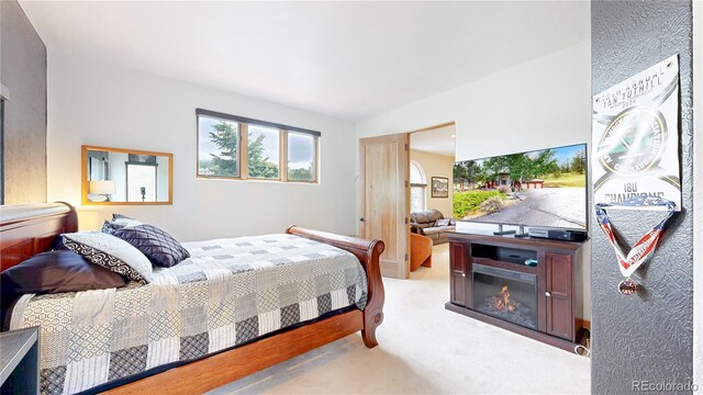 974 Spring Ranch Dr, Golden, CO 80401 - photo 21