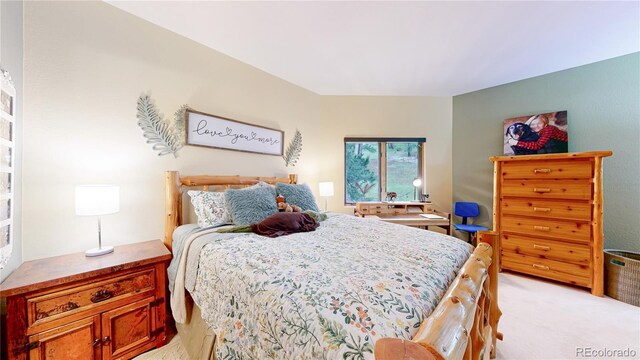 974 Spring Ranch Dr, Golden, CO 80401 - photo 23