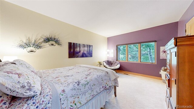 974 Spring Ranch Dr, Golden, CO 80401 - photo 25