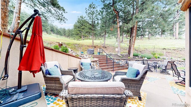 974 Spring Ranch Dr, Golden, CO 80401 - photo 36