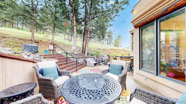 974 Spring Ranch Dr, Golden, CO 80401 - photo 37