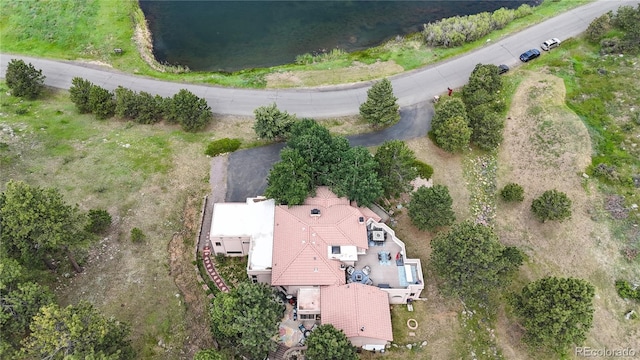 974 Spring Ranch Dr, Golden, CO 80401 - photo 46