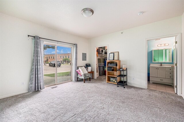 18038 Becket Dr, Parker, CO 80134 - sitting room featuring electric panel, carpet floors, and baseboards