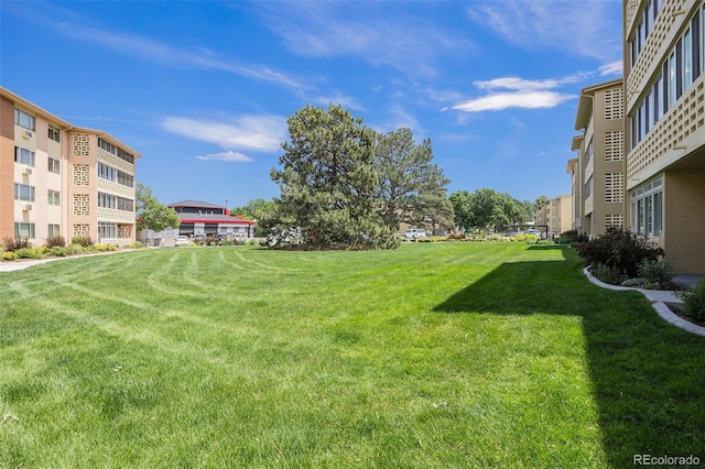 350 S Clinton St Unit 2A, Denver, CO 80247 - view of green lawn