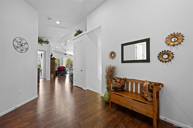 3748 Starry Night Loop, Castle Rock, CO 80109