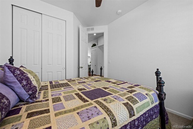 3748 Starry Night Loop, Castle Rock, CO 80109