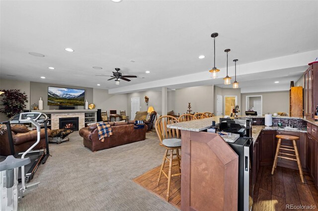 3748 Starry Night Loop, Castle Rock, CO 80109