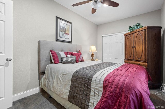 3748 Starry Night Loop, Castle Rock, CO 80109