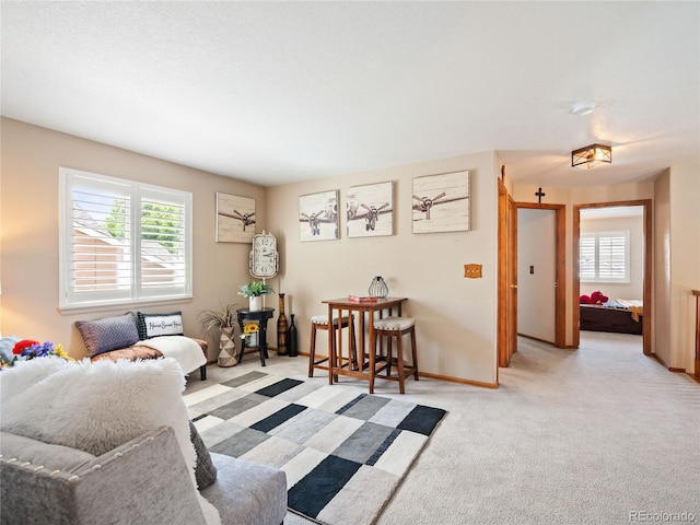 view of carpeted living room