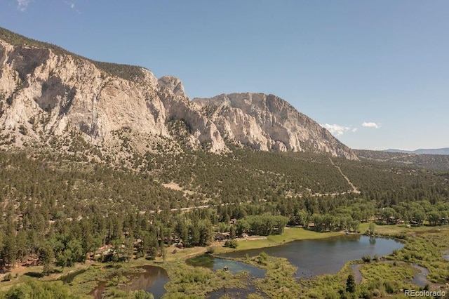 view of mountain feature with a forest view and a water view