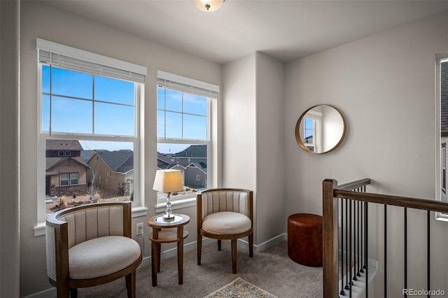 living area with baseboards and carpet floors