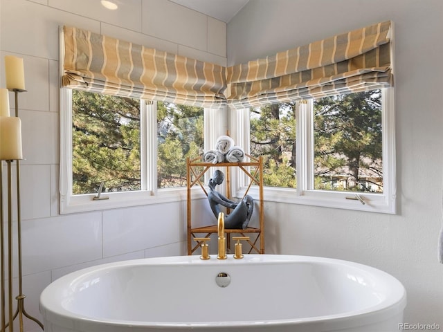 full bathroom featuring a freestanding tub and a sink