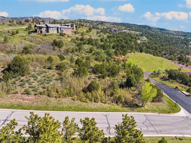 3605 Outback Vista Pt, Colorado Springs, CO 80904 - photo 3